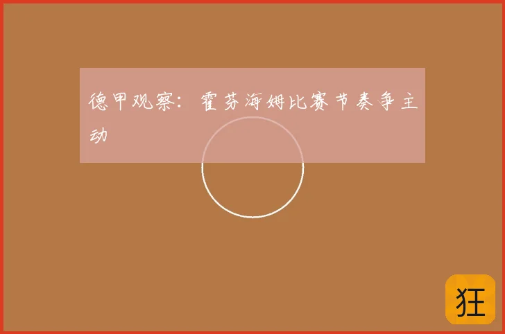 德甲观察：霍芬海姆比赛节奏争主动